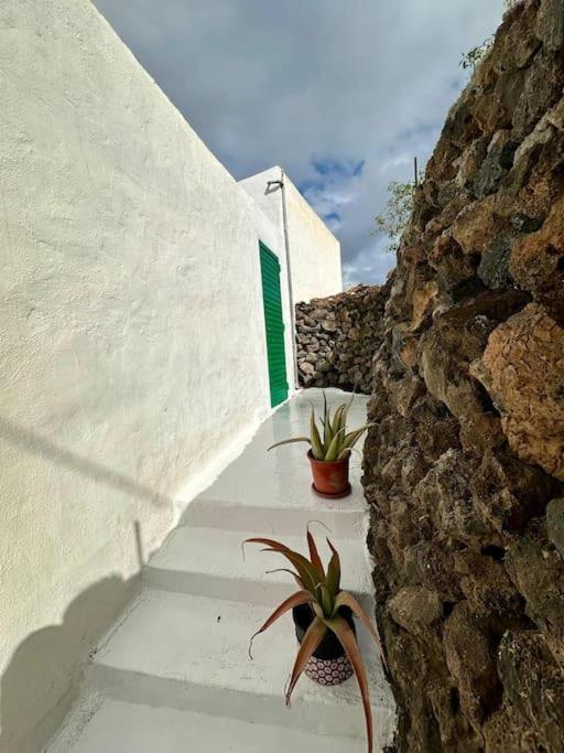 La Dolce Vita Mala Exterior foto